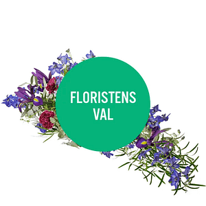 Floristens Val, Låg Dekoration
